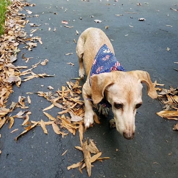 Meet your Posher, Heather - Picture 1 of 1